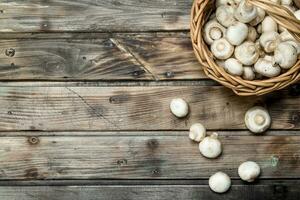 Frais champignons dans le panier. photo