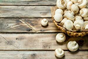 parfumé champignons dans le panier. photo