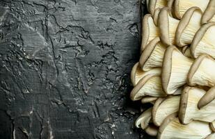 le Frais huître champignons. photo