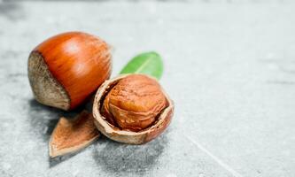 Noisette avec vert feuilles . photo