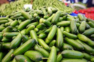 concombre végétal sain biologique photo