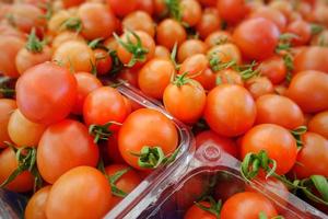 tomate végétale saine et juteuse