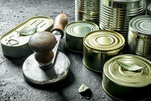 groupe de fermé aluminium canettes avec en conserve aliments. photo