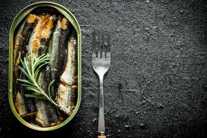 parfumé sprats dans une étain peut. photo