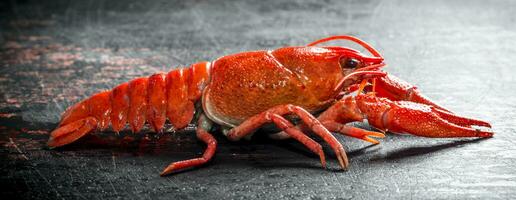 rouge bouilli écrevisse. photo