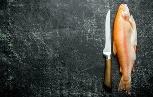 brut truite poisson avec couteau. photo