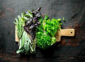 assortiment de différent les types de herbes pour salade. photo