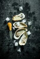 Fruit de mer. délicieux Huîtres avec la glace et une couteau. photo