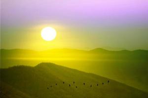 beau lever de soleil au sommet de la montagne avec des oiseaux volant sur le ciel d'or jaune photo