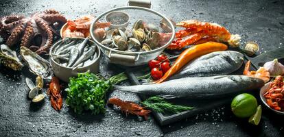 Fruit de mer. Frais poisson avec Huîtres dans passoire, crabe, pieuvre, crevette et écrevisse. photo