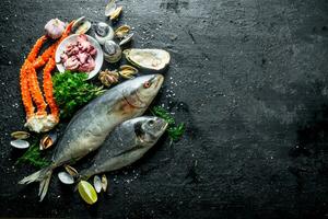 Fruit de mer. différent poisson avec Huîtres, Crabe et bébé pieuvre. photo