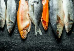 assortiment de divers Frais poisson. photo