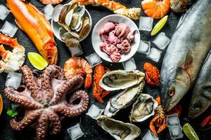 brut poisson et Fruit de mer avec la glace cubes. photo