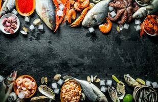 en bonne santé régime de Fruit de mer sur glace. photo