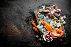 assortiment de différent Fruit de mer sur plateau avec la glace cubes. photo