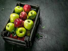 Frais pommes avec feuilles dans une boîte. photo