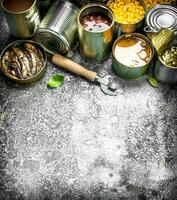 divers en conserve nourriture avec Viande, poisson, des légumes et des fruits dans étain canettes. photo