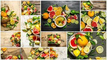 nourriture collage de tranche agrumes des fruits . photo