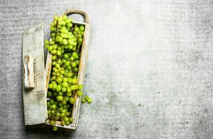 vert les raisins dans une boîte. photo