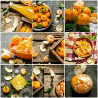 nourriture collage de Frais mandarin . photo