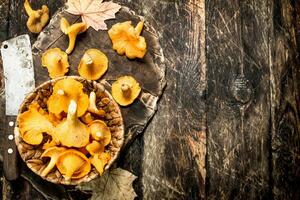 champignons chanterelle dans le panier. photo