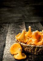 champignons chanterelle dans le panier. photo