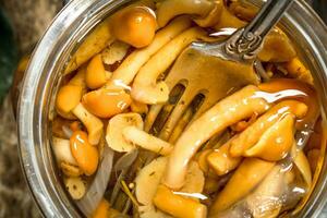 mariné champignons dans verre pot. photo