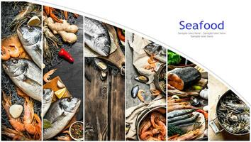 nourriture collage de Fruit de mer . photo