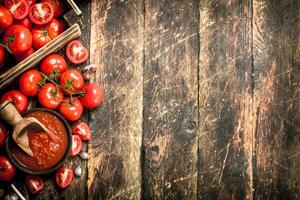 tomate sauce dans une bol. photo