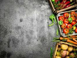 biologique aliments. Frais surgir de des légumes dans des boites. photo