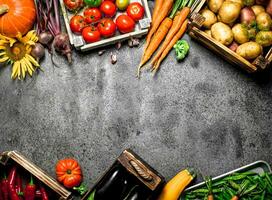 biologique aliments. récolté des légumes. photo