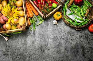 biologique aliments. Frais surgir de des légumes dans des boites. photo