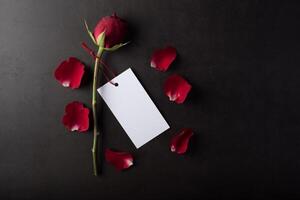rose rouge avec carte blanche. photo