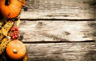 l'automne des fruits et des légumes. photo