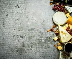 pièces de fromage avec rouge du vin et des noisettes. photo