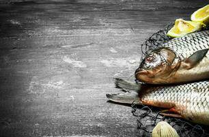 Frais poisson avec citron sur une pêche filet. photo