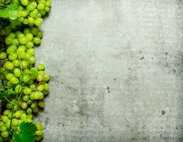 blanc les raisins avec feuilles. photo