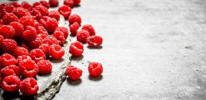 Frais framboise sur table . photo