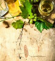 blanc du vin avec une vigne . photo