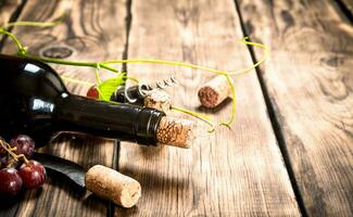 rouge du vin avec une vigne branche . photo