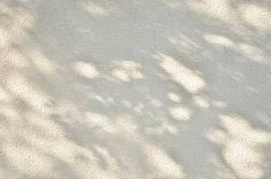 ombres de le feuilles sur une béton mur. - image photo