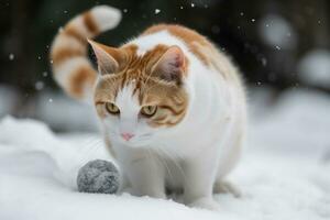 chat en jouant dans le neige dans hiver saison. mignonne chaton ayant amusement avec blanc neige. généré ai. photo