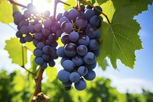 fermer de les raisins croissance dans vignoble. ai généré photo