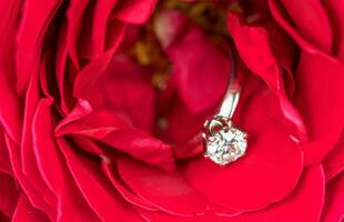 diamant bague sur fleur photo