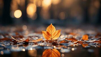 l'automne scène avec vibrant érable feuille arrière-plan, étourdissant saisonnier feuillage dans riche, chaud couleurs, tranquille tomber paysage avec coloré chute feuilles, généré par ai photo