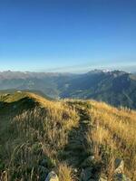 beau paysage de montagne en été photo