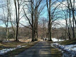 une petit route parmi le des arbres sur une brillant ensoleillé journée de printemps photo