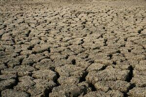 sol fissuré et sec dans le paysage des zones arides photo