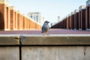 une oiseau est permanent sur le bord de une rebord génératif ai photo