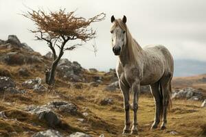 une cheval permanent sur une rocheux flanc de coteau avec une arbre dans le Contexte génératif ai photo